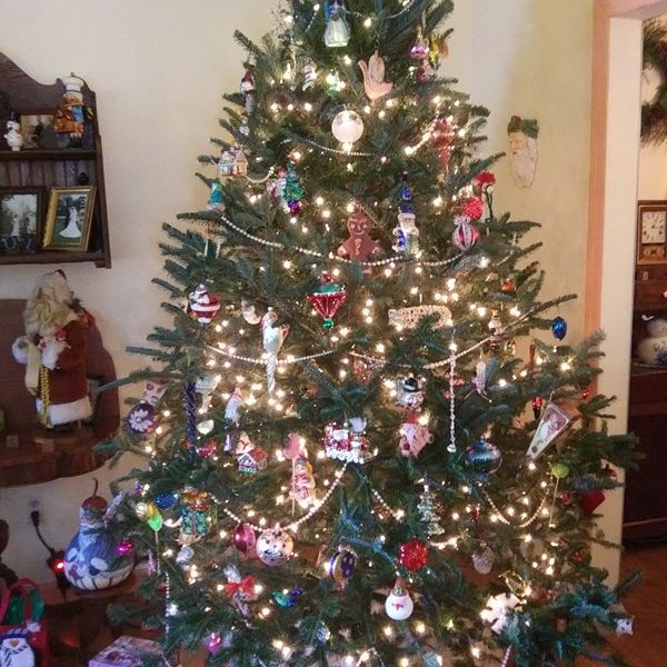 holiday house tour 2019