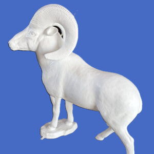 This Ram Country This Ram Country